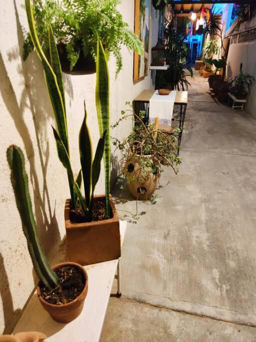 The Azul Flat Room Oaxaca Buitenkant foto